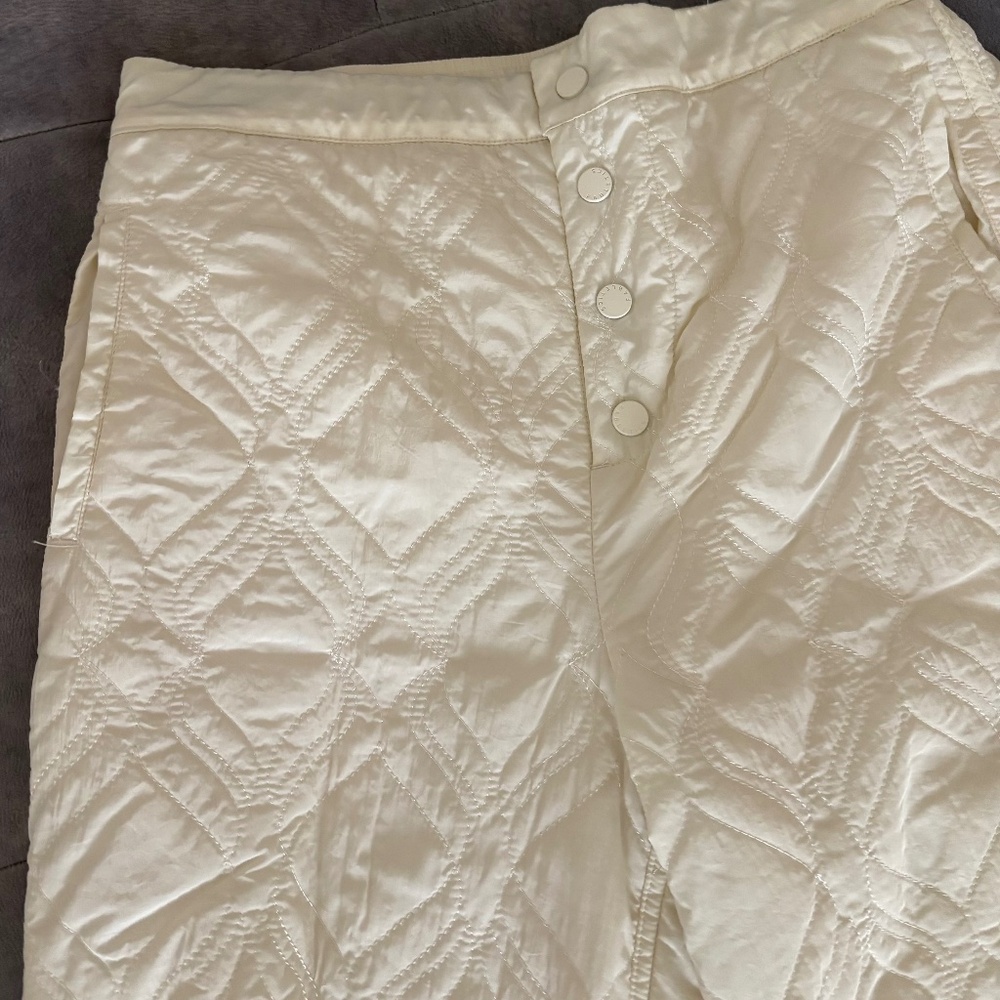 Fabletics pants